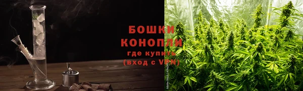 гидра Верея