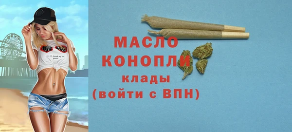 гидра Верея