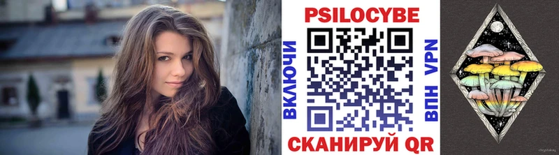 МЕГА зеркало  купить наркоту  Горячеводский  Галлюциногенные грибы Psilocybe 